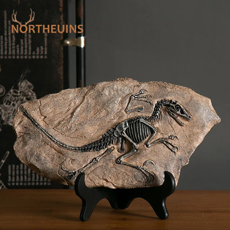Dinosaur Fossil - flere varianter