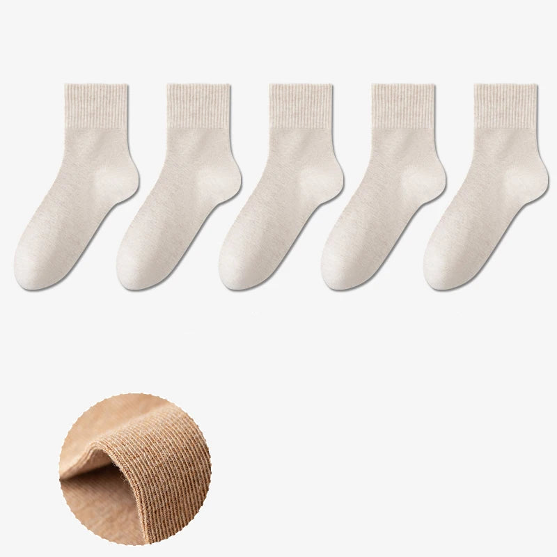 S648669d54e5743779f68672b09fa3a95e