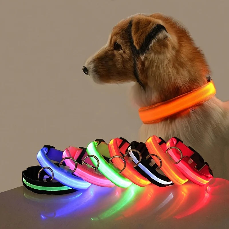 LED-halsbånd til hund - lyser i mørket